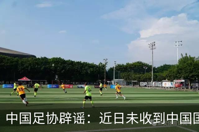 中国足协辟谣：近日未收到中国国家女子足球队主教练安特·米利西奇先生任何辞职的书面或口头信息