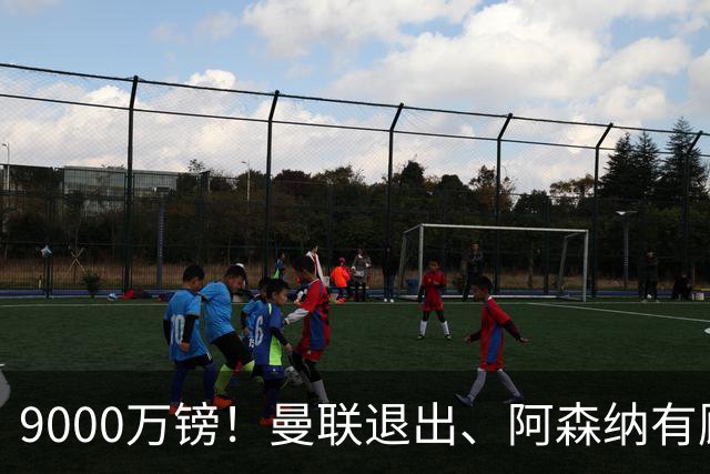 9000万镑！曼联退出、阿森纳有顾虑，他却愿投切尔西